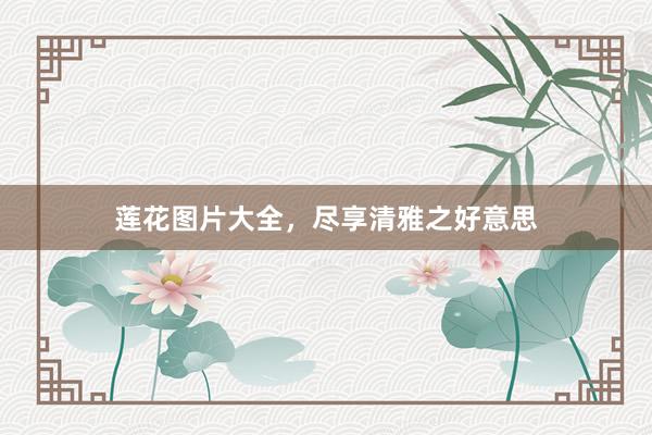 莲花图片大全，尽享清雅之好意思